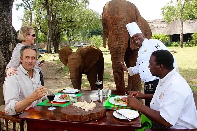 safpar-elephant-cafe-blog-take-note-story